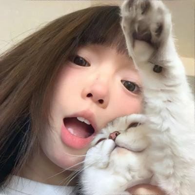 甄嬛爱不停