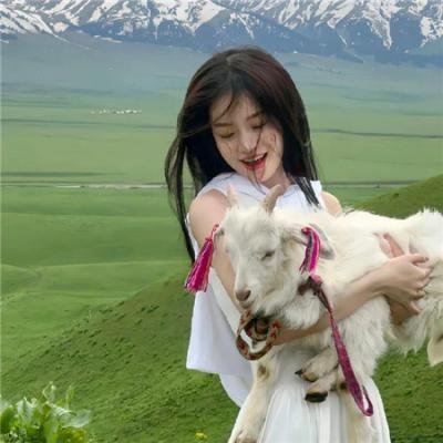 中国诗词大会第四季