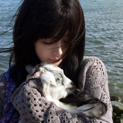 兔子镇的火狐狸
