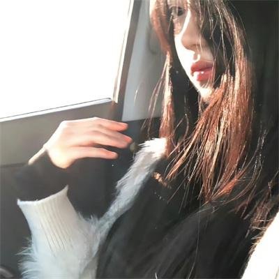 完美伴侣2025